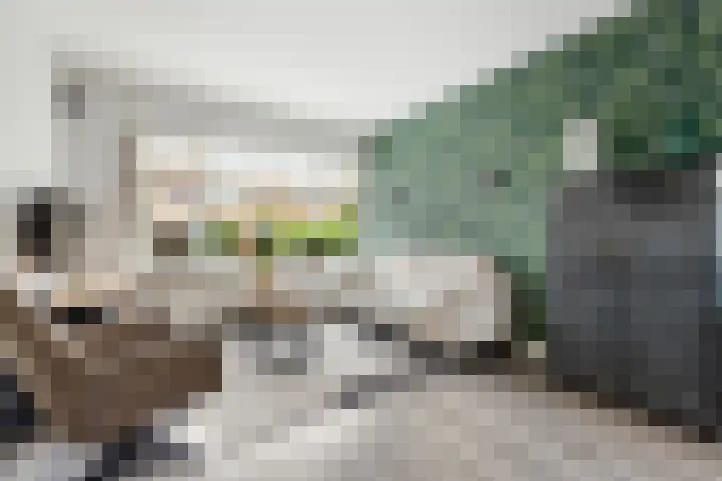 Van Galenlaan 6 Bussum thumbnail 7