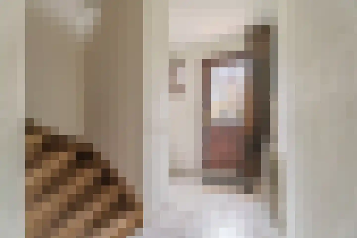 van Galenstraat 1 Rijnsburg thumbnail 13