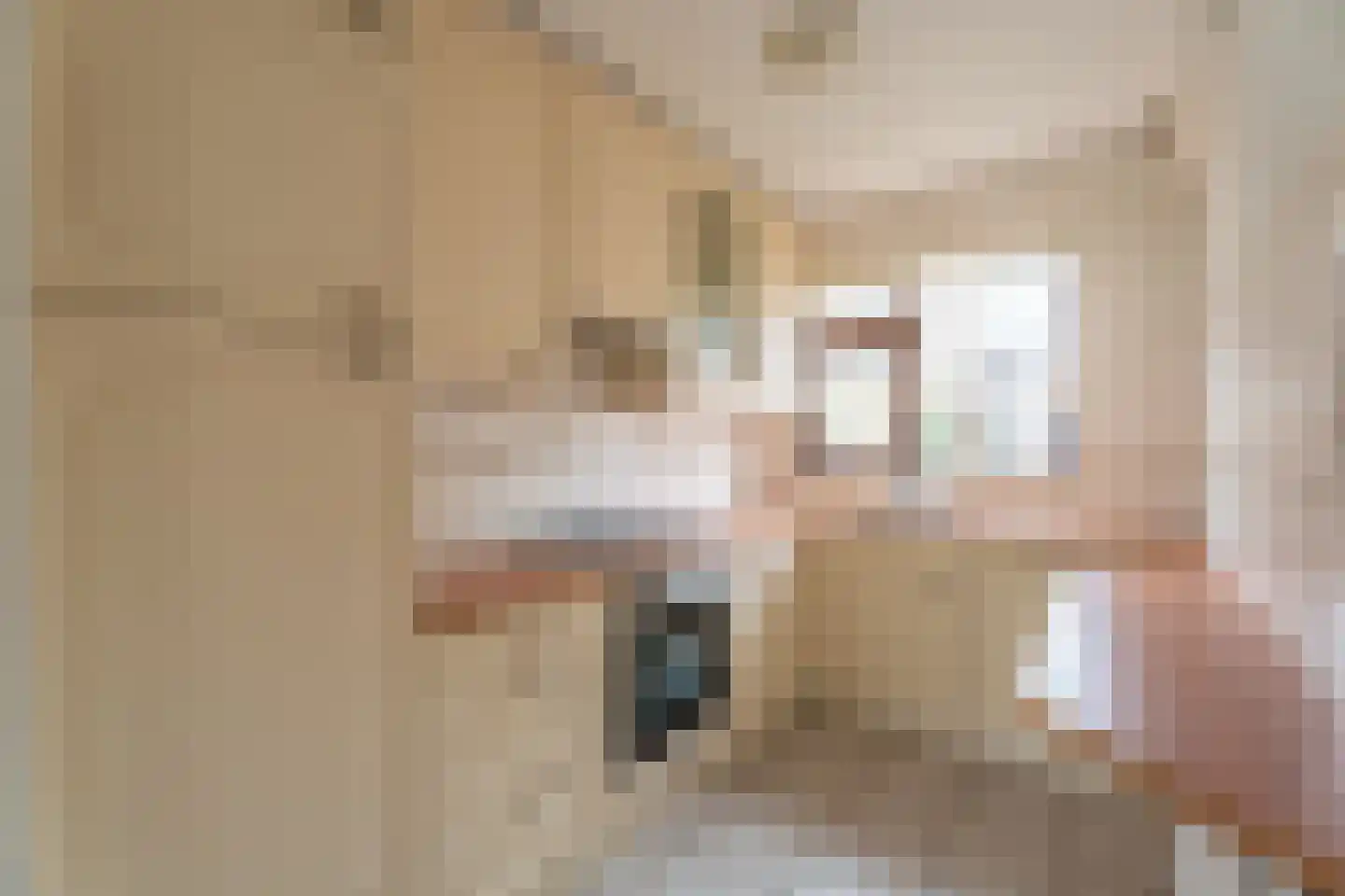 van Galenstraat 1 Rijnsburg thumbnail 5