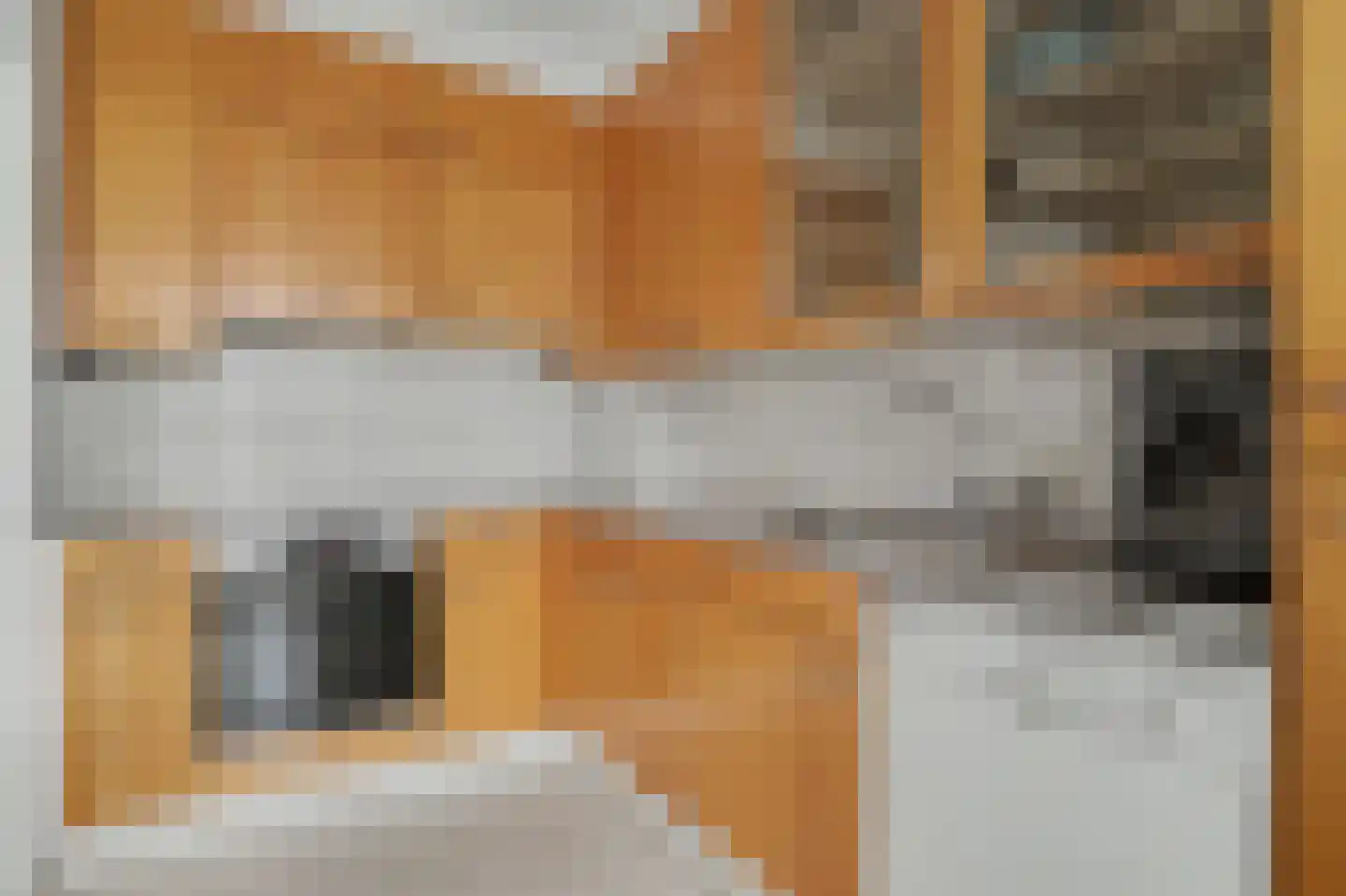 van Galenstraat 10 Geertruidenberg thumbnail 11