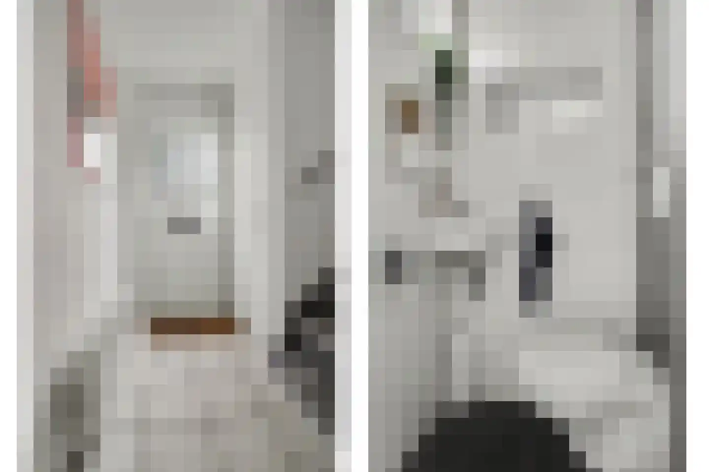 van Galenstraat 10 Geertruidenberg thumbnail 14