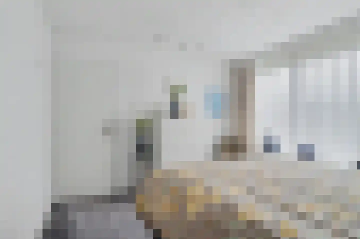 van Galenstraat 10 Geertruidenberg thumbnail 17