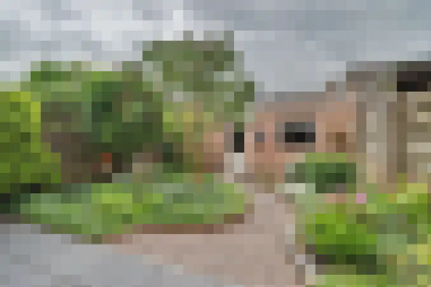 van Galenstraat 10 Geertruidenberg thumbnail 27