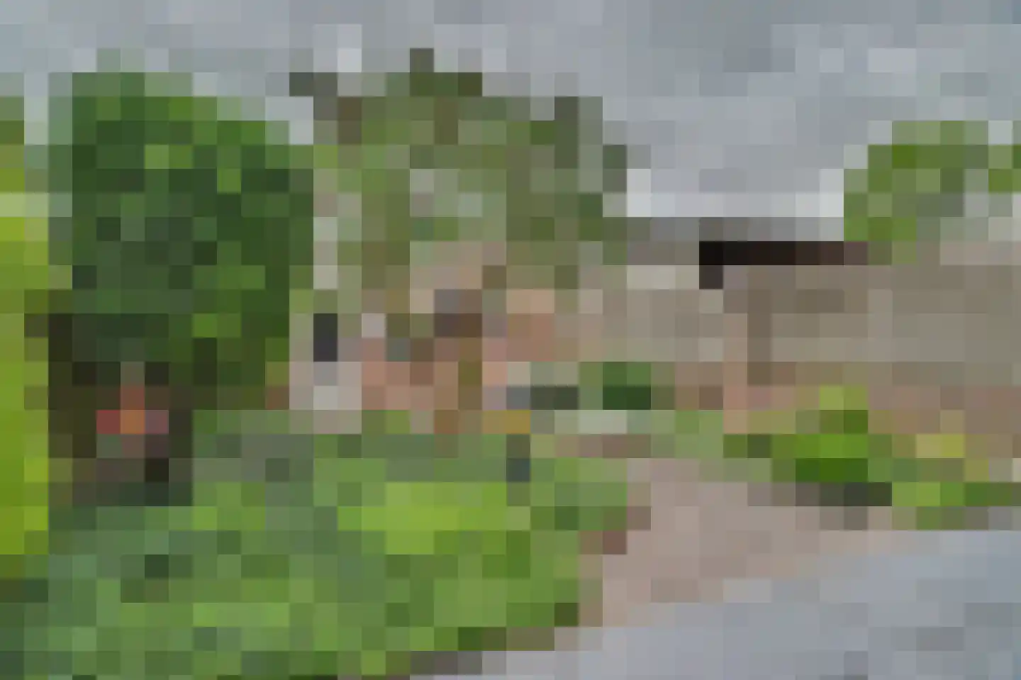 van Galenstraat 10 Geertruidenberg thumbnail 29