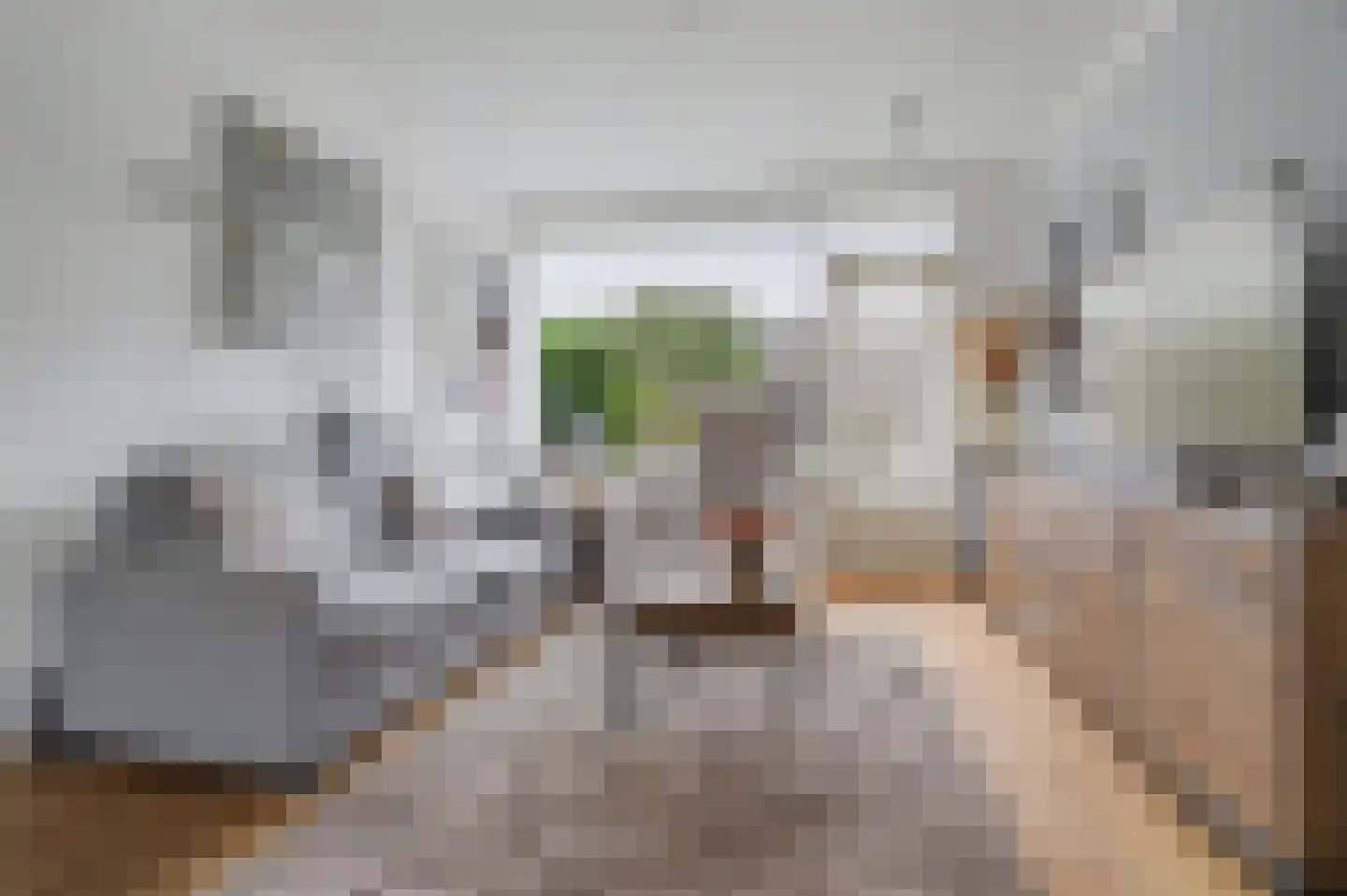 van Galenstraat 10 Geertruidenberg thumbnail 5