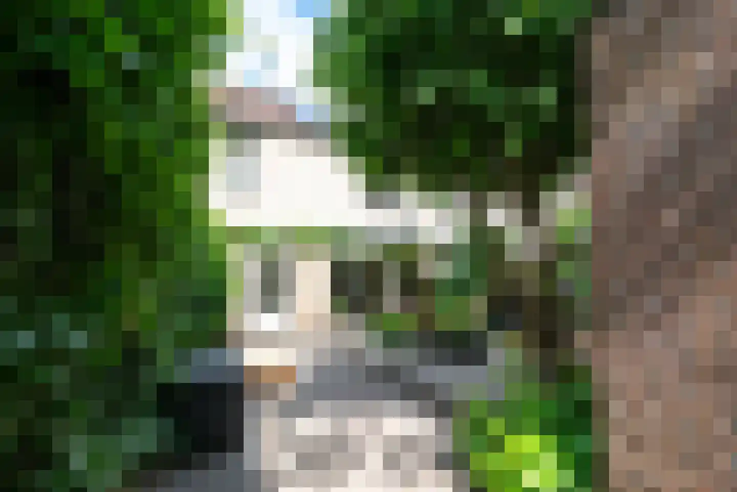 Van Galenstraat 105 Apeldoorn thumbnail 33