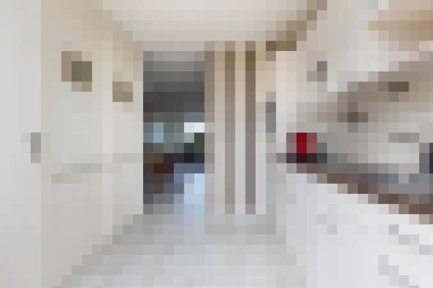 Van Galenstraat 139 Apeldoorn thumbnail 13