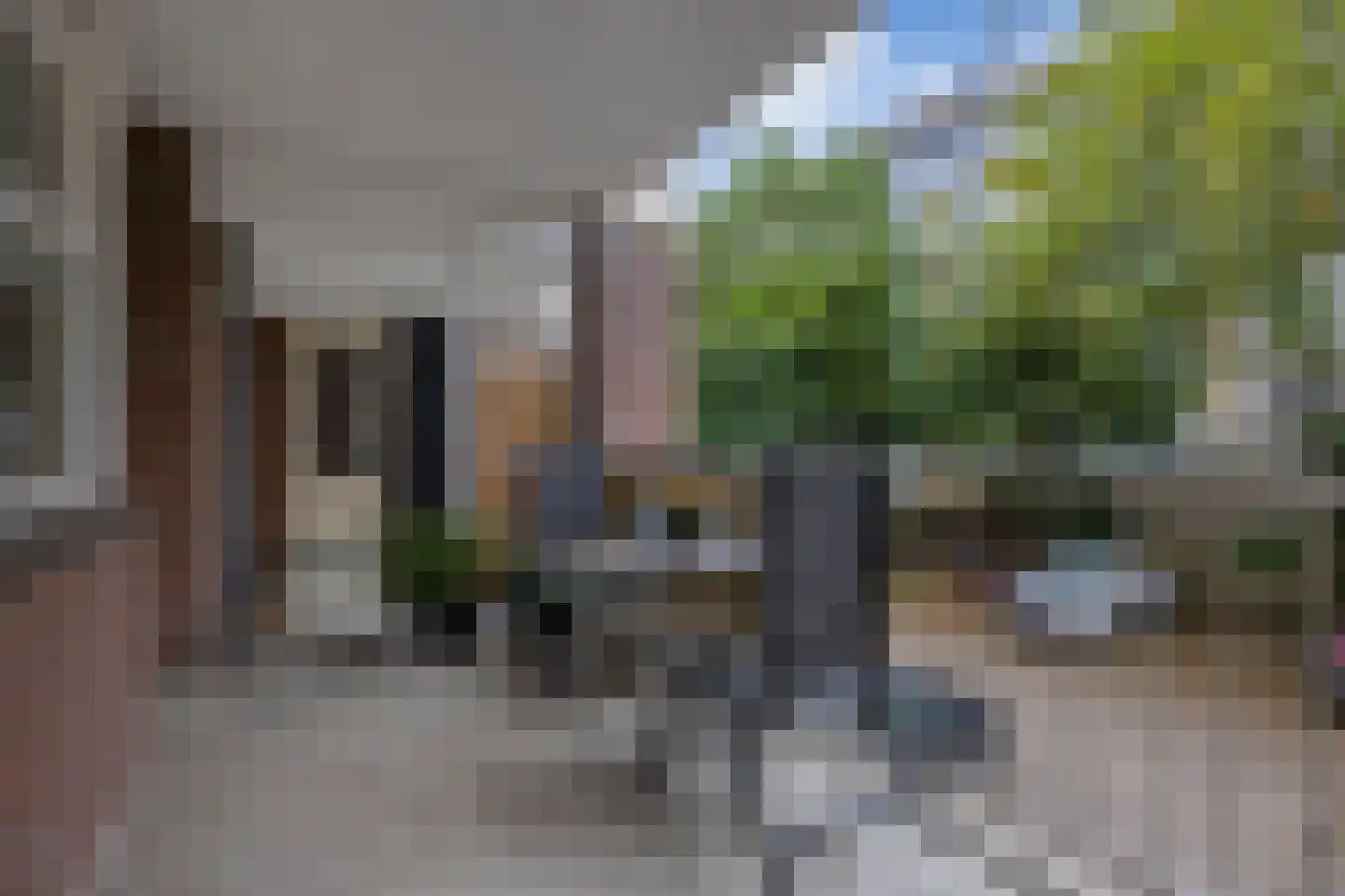 Van Galenstraat 14 D Den Haag thumbnail 20