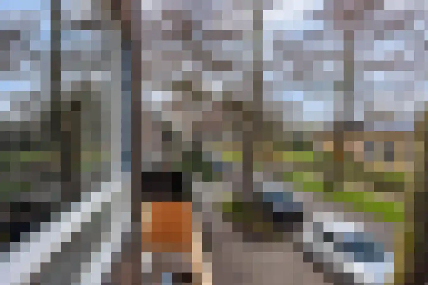 Van Galenstraat 15 B Amersfoort thumbnail 19