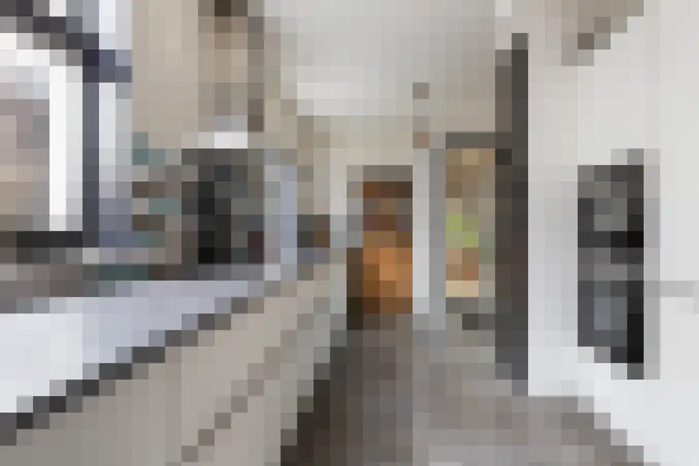 Van Galenstraat 17 Apeldoorn thumbnail 15