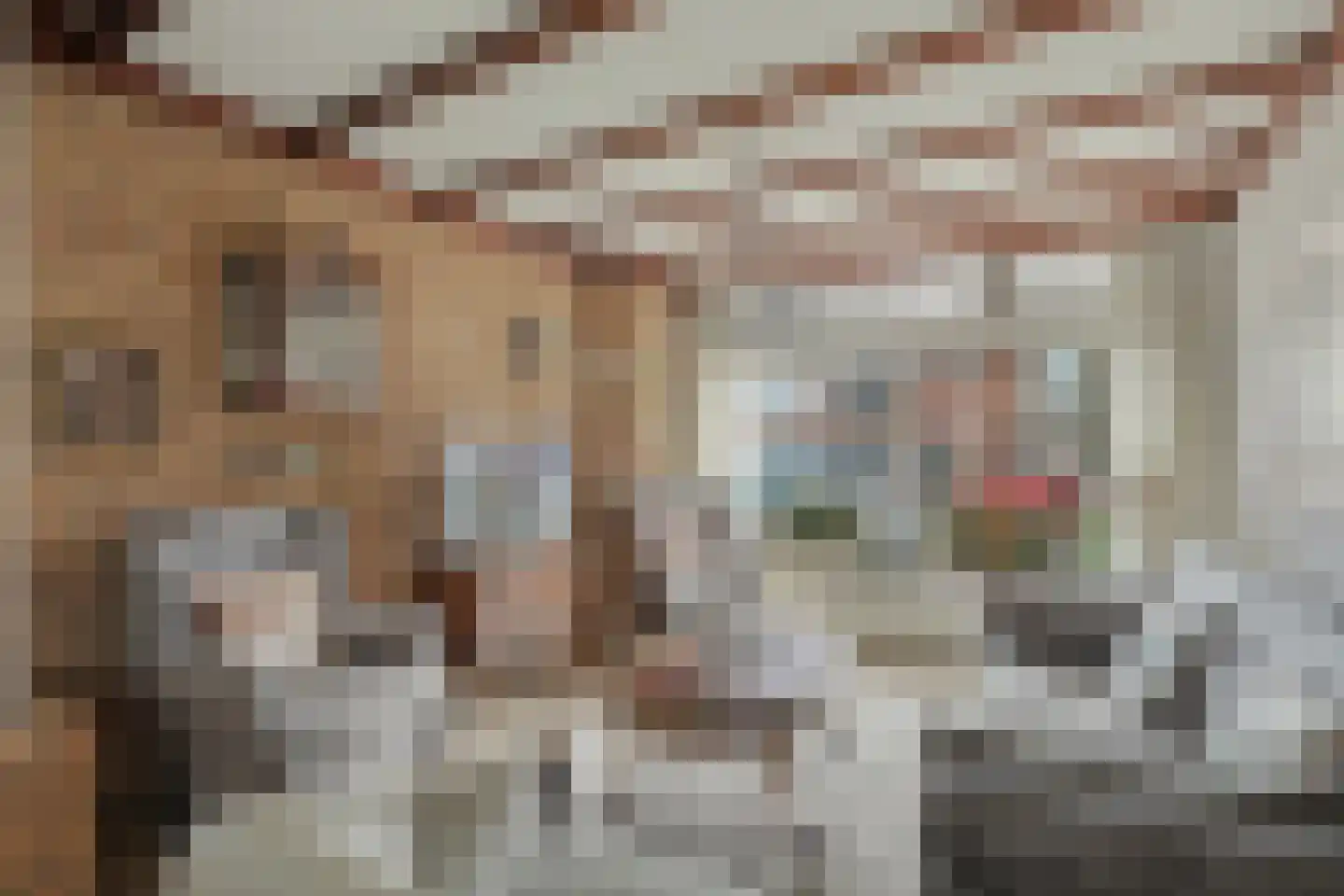 van Galenstraat 17 Geertruidenberg thumbnail 10