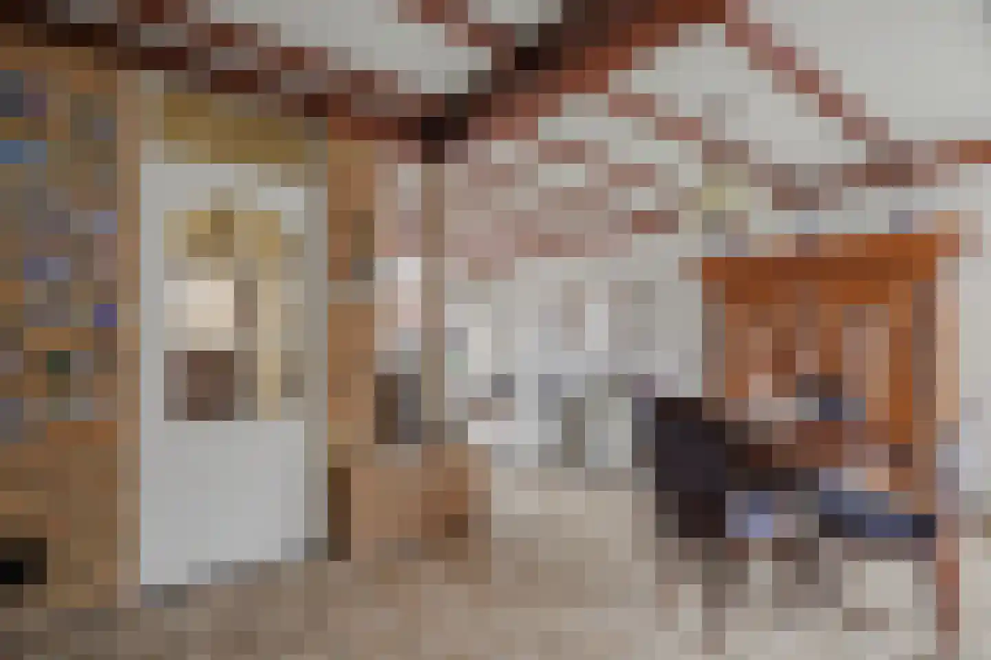 van Galenstraat 17 Geertruidenberg thumbnail 13