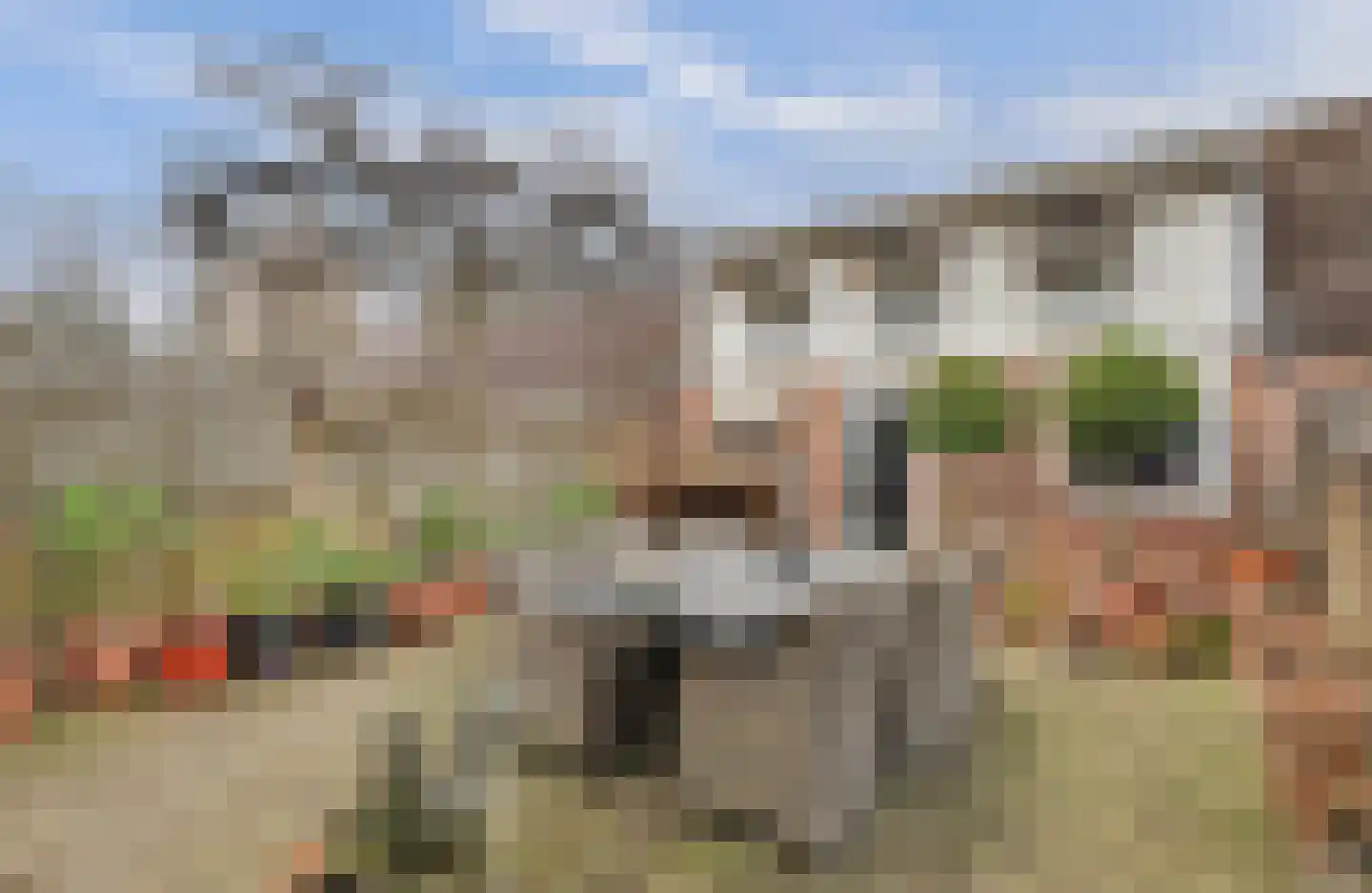van Galenstraat 17 Geertruidenberg thumbnail 19