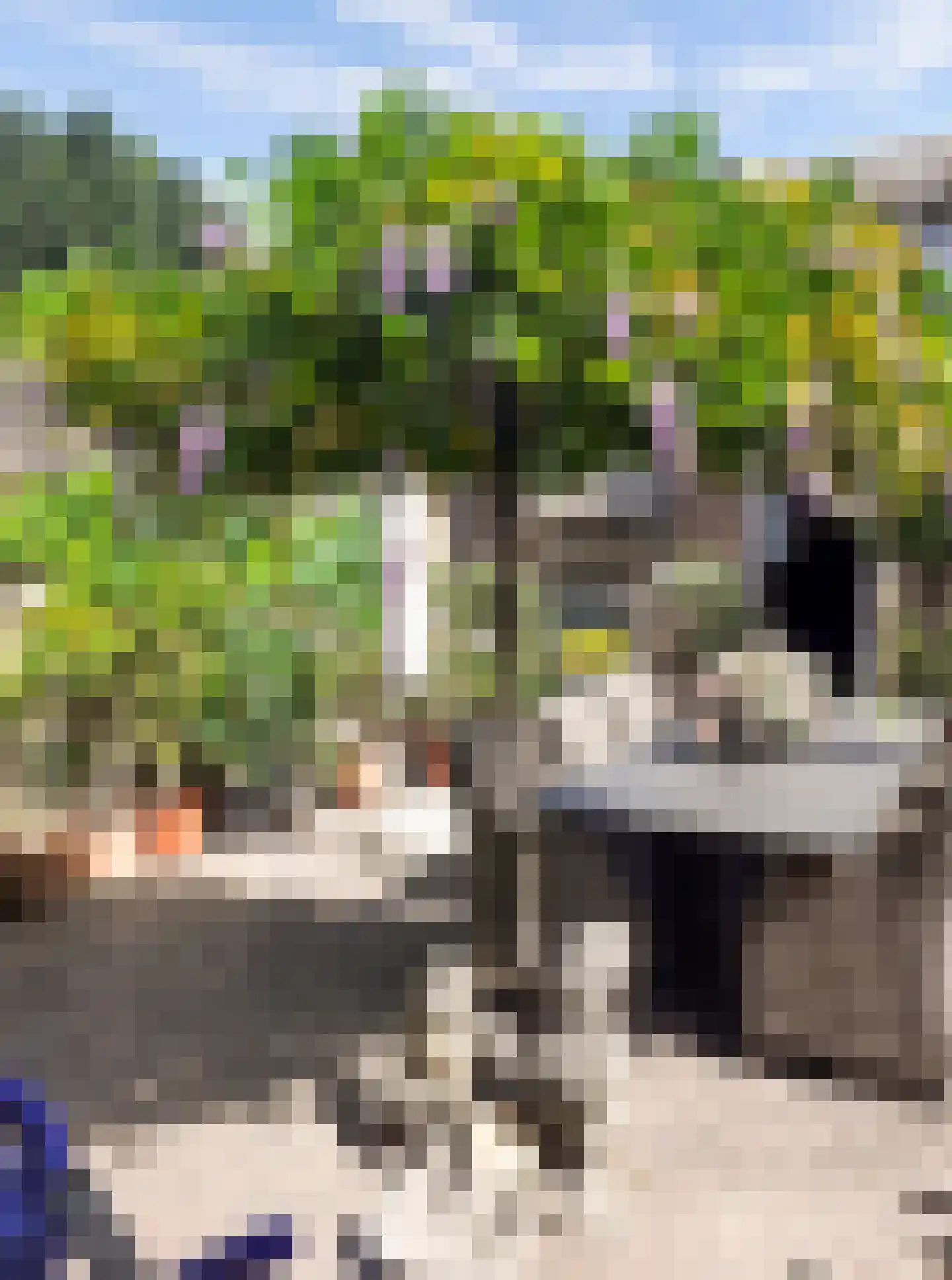 van Galenstraat 17 Geertruidenberg thumbnail 20