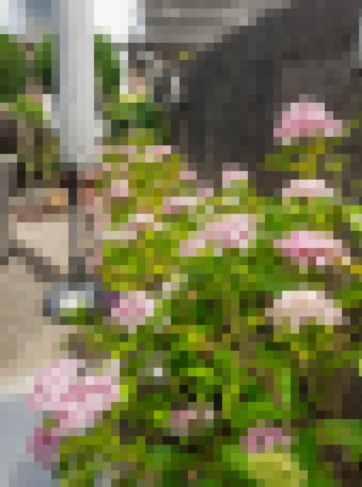 van Galenstraat 17 Geertruidenberg thumbnail 21