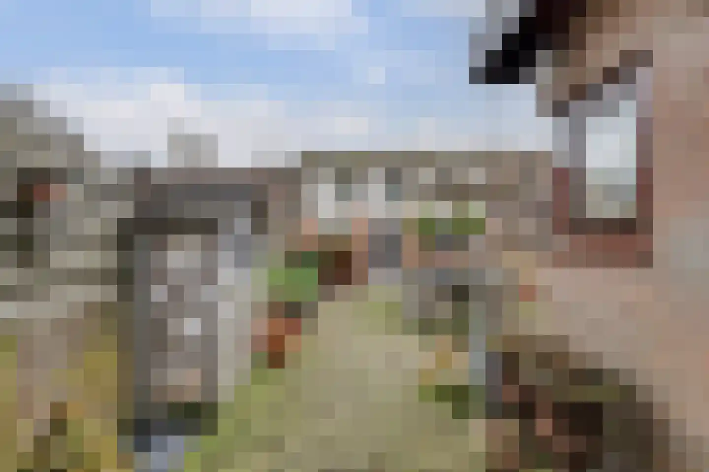 van Galenstraat 17 Geertruidenberg thumbnail 22