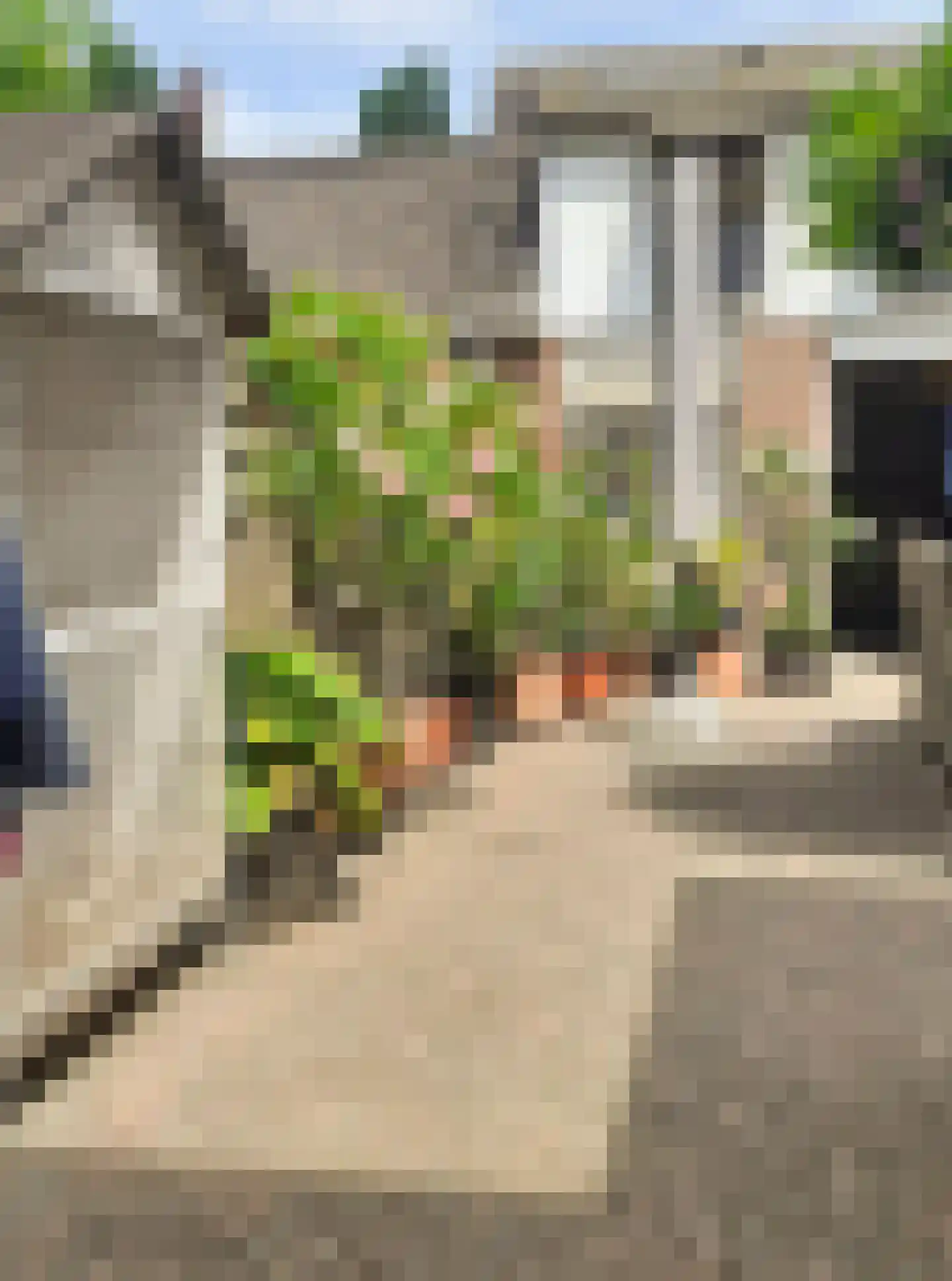 van Galenstraat 17 Geertruidenberg thumbnail 23