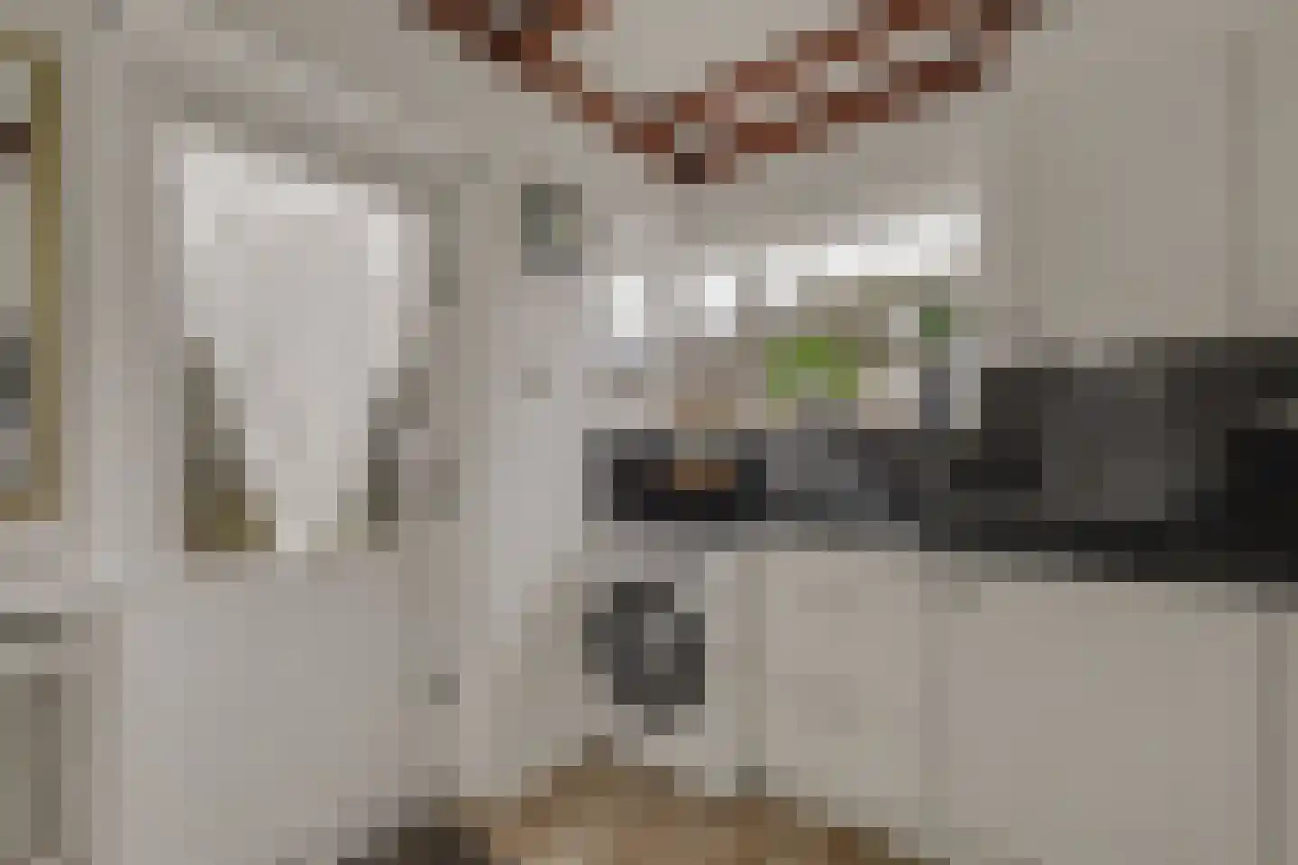 van Galenstraat 17 Geertruidenberg thumbnail 4