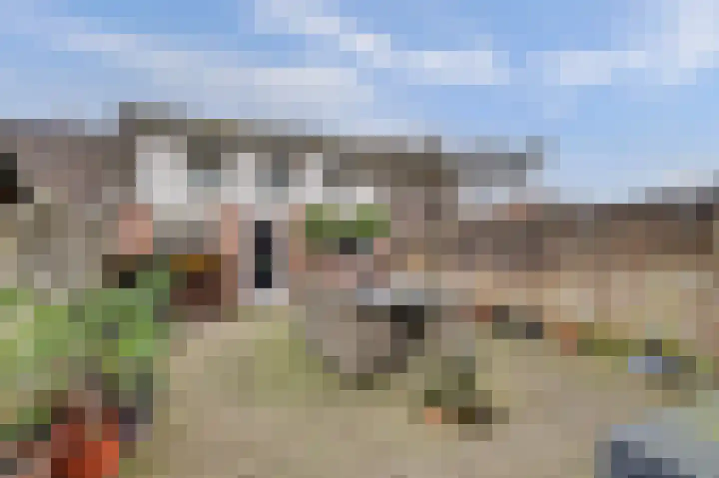 van Galenstraat 17 Geertruidenberg thumbnail 6