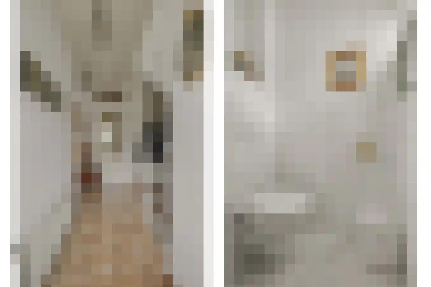 van Galenstraat 17 Geertruidenberg thumbnail 8