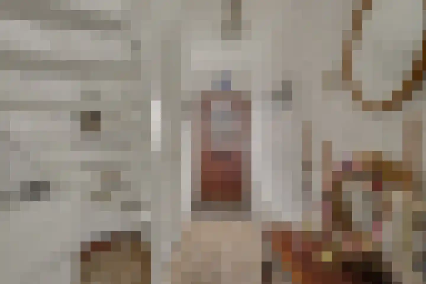 van Galenstraat 17 Geertruidenberg thumbnail 9