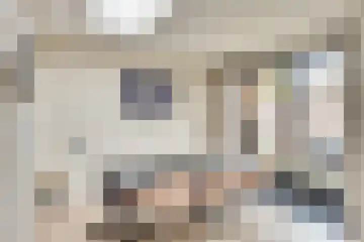 van Galenstraat 18 Son en Breugel thumbnail 10