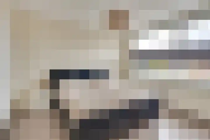 van Galenstraat 18 Son en Breugel thumbnail 17