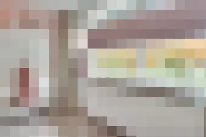 van Galenstraat 18 Son en Breugel thumbnail 21