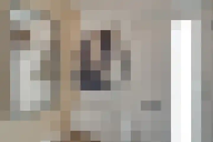 van Galenstraat 18 Son en Breugel thumbnail 4