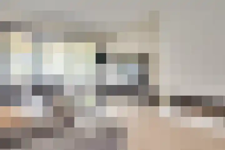 van Galenstraat 18 Son en Breugel thumbnail 7
