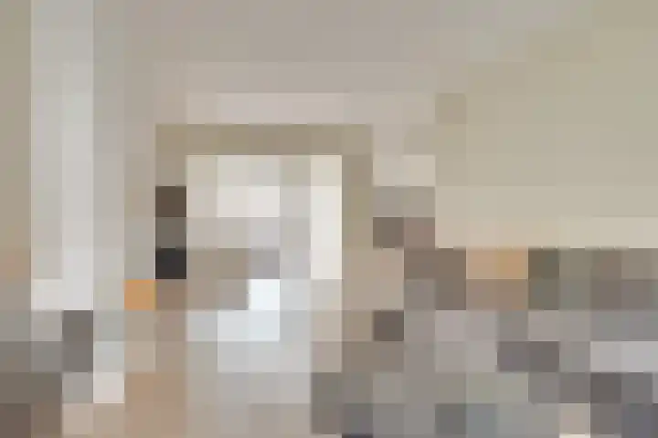 van Galenstraat 18 Son en Breugel thumbnail 8