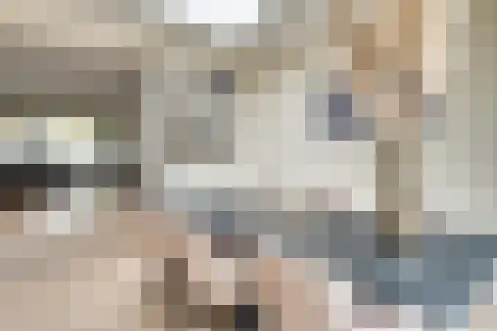 van Galenstraat 18 Son en Breugel thumbnail 9