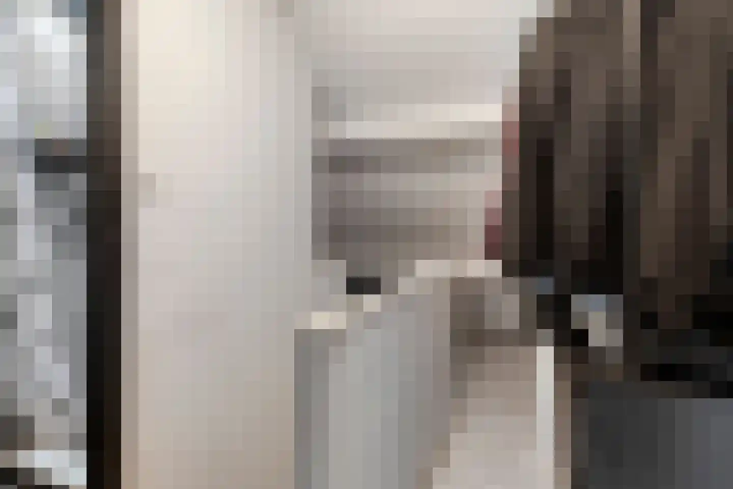 van Galenstraat 2 Goes thumbnail 13