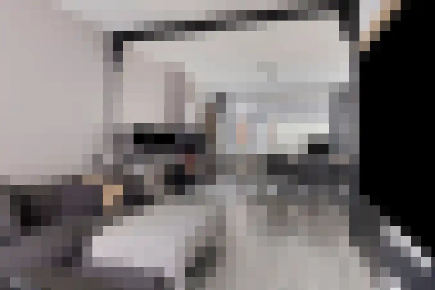 van Galenstraat 2 Goes thumbnail 7