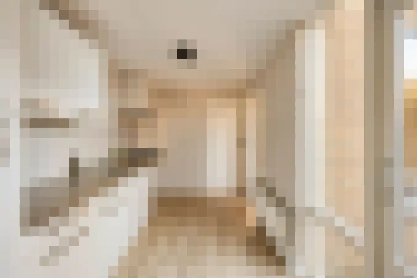 van Galenstraat 2 Son en Breugel thumbnail 16
