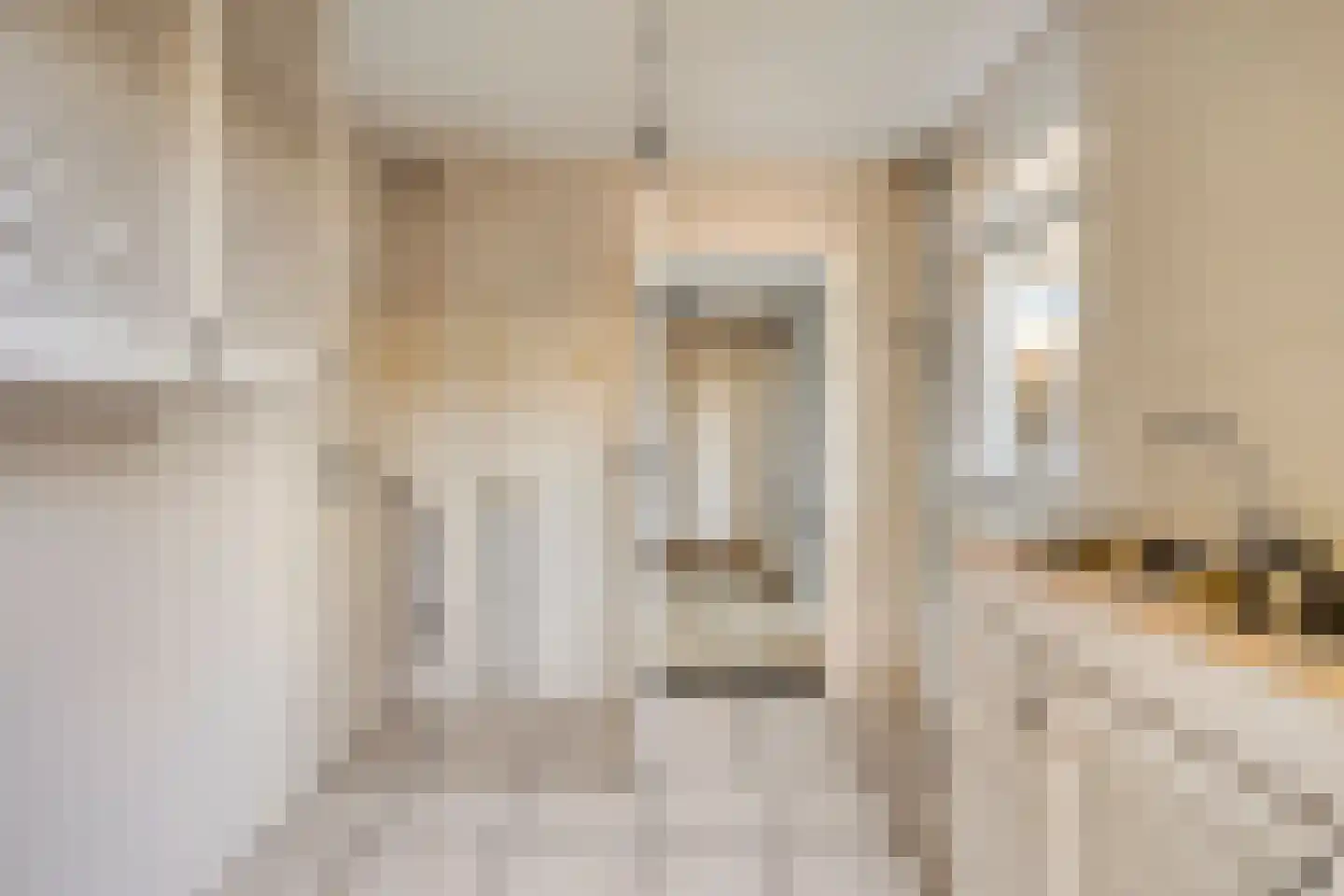 van Galenstraat 2 Son en Breugel thumbnail 19