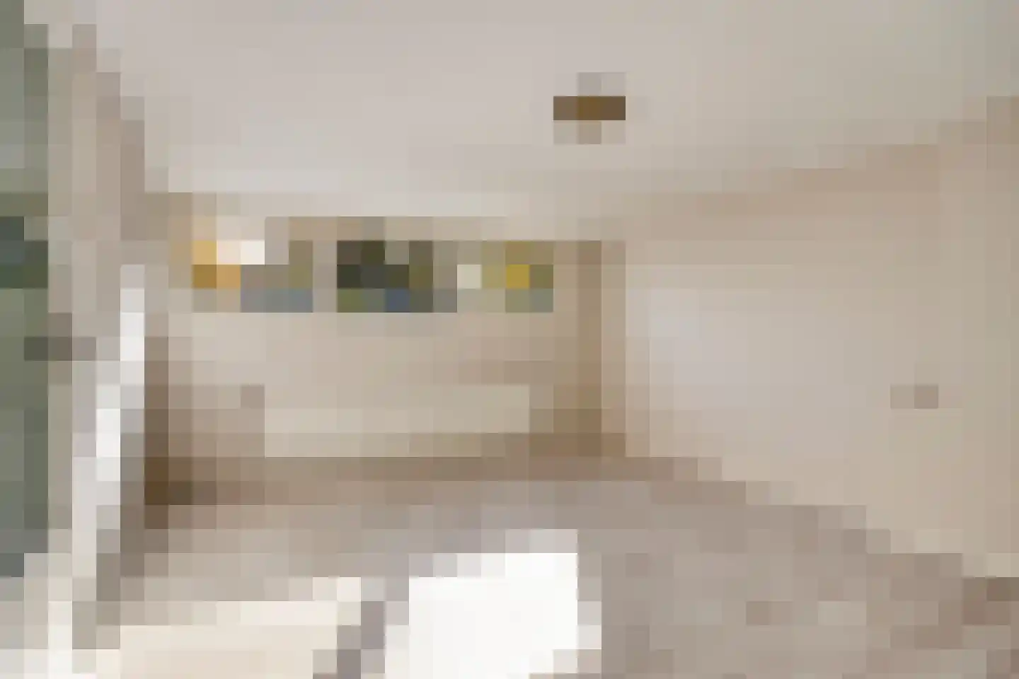van Galenstraat 2 Son en Breugel thumbnail 32