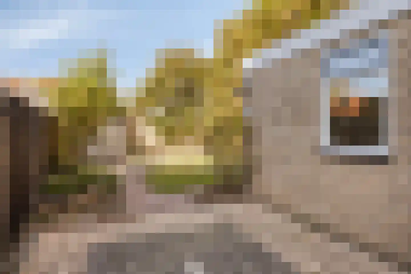 van Galenstraat 2 Son en Breugel thumbnail 36