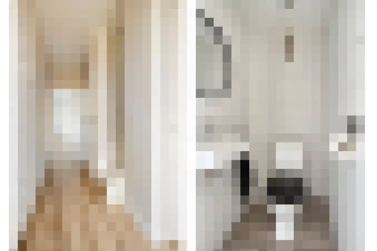 van Galenstraat 2 Son en Breugel thumbnail 7
