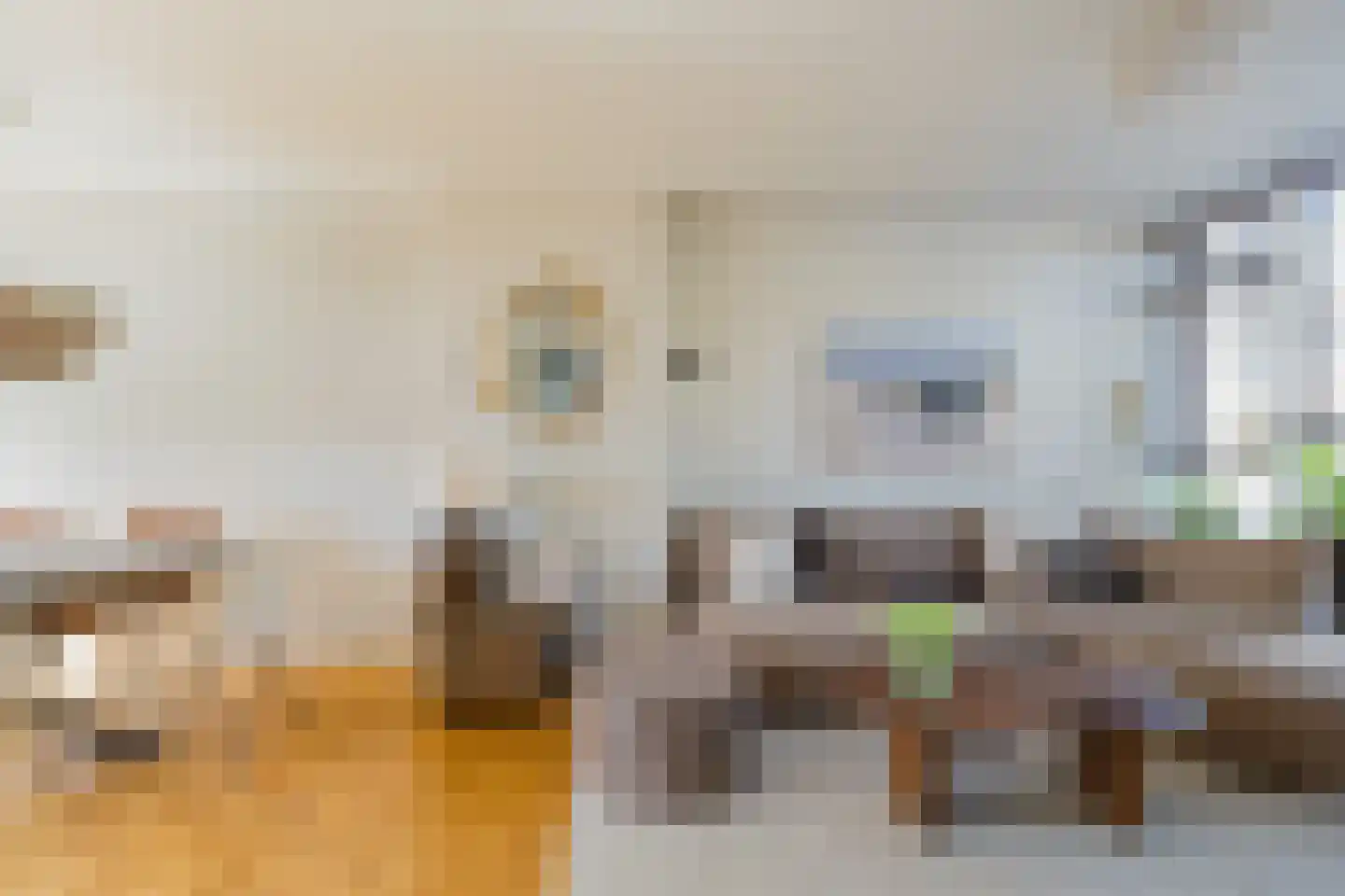 van Galenstraat 21 Noordwijk thumbnail 12