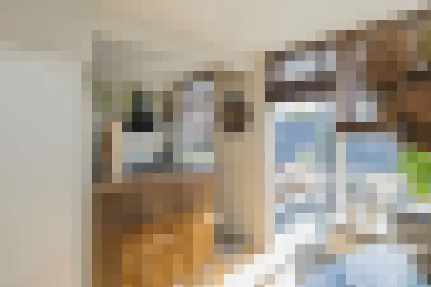 van Galenstraat 21 Noordwijk thumbnail 15