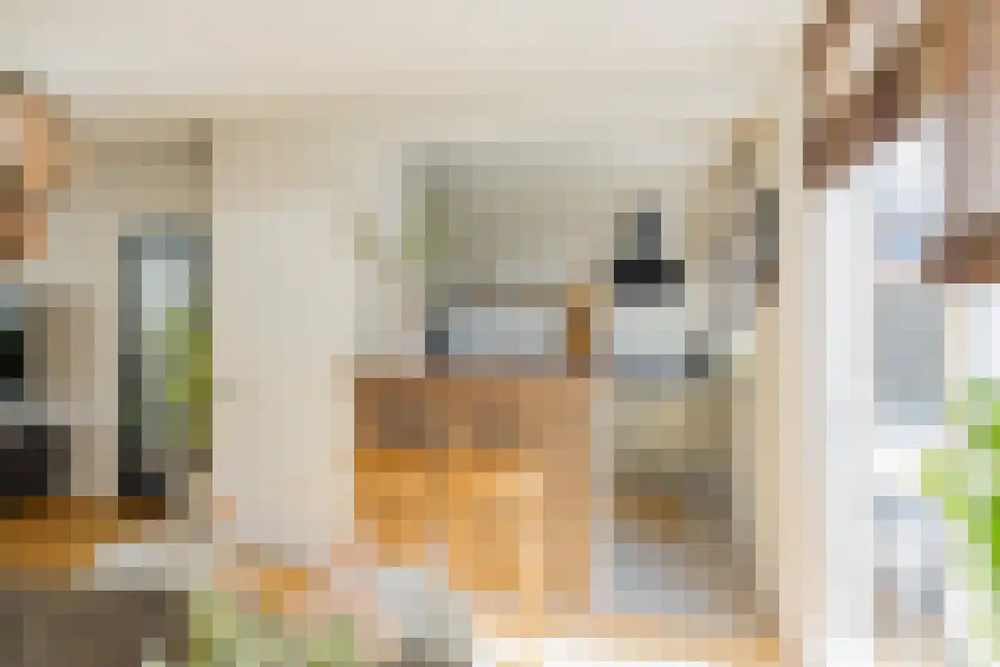 van Galenstraat 21 Noordwijk thumbnail 17