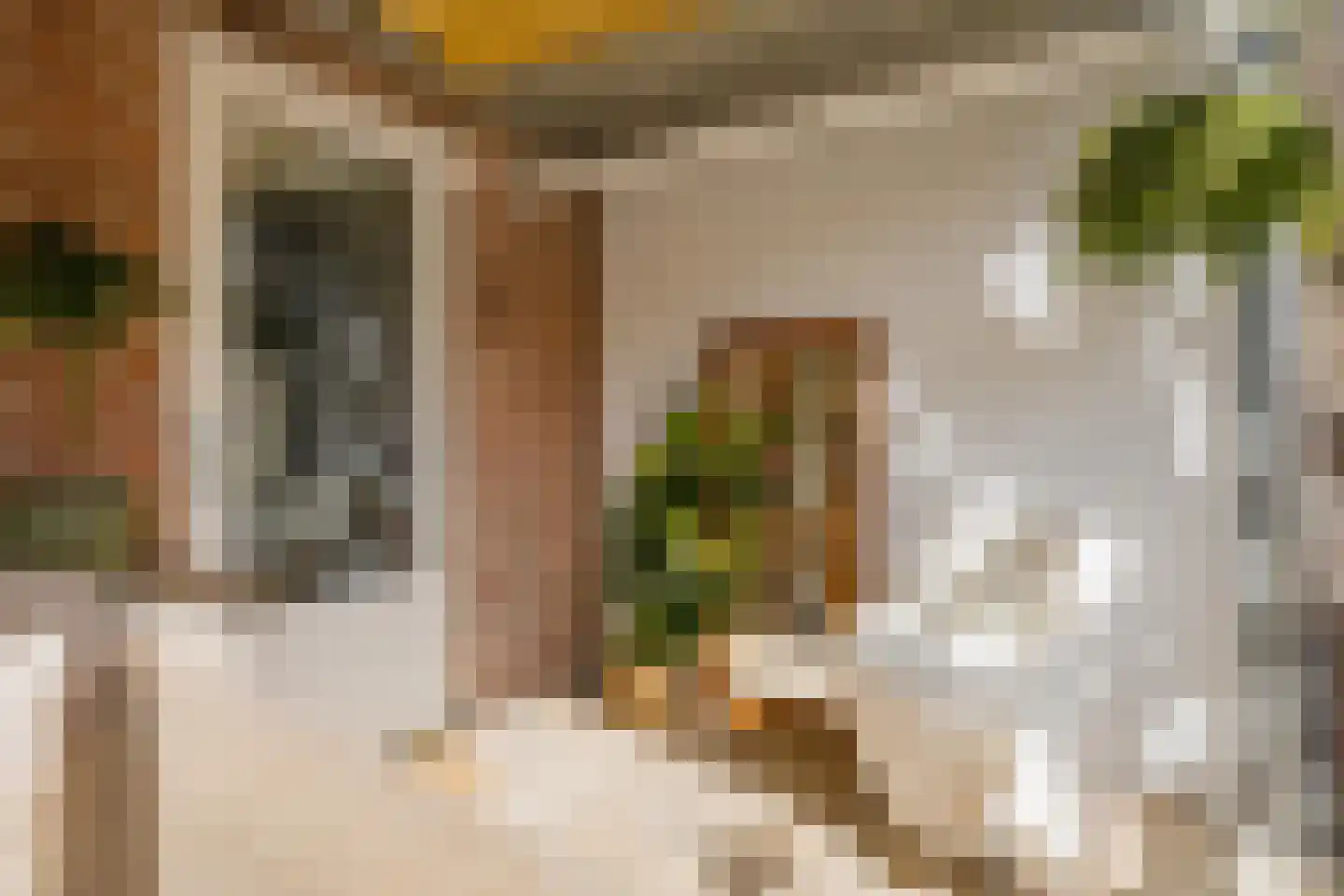 van Galenstraat 21 Noordwijk thumbnail 40