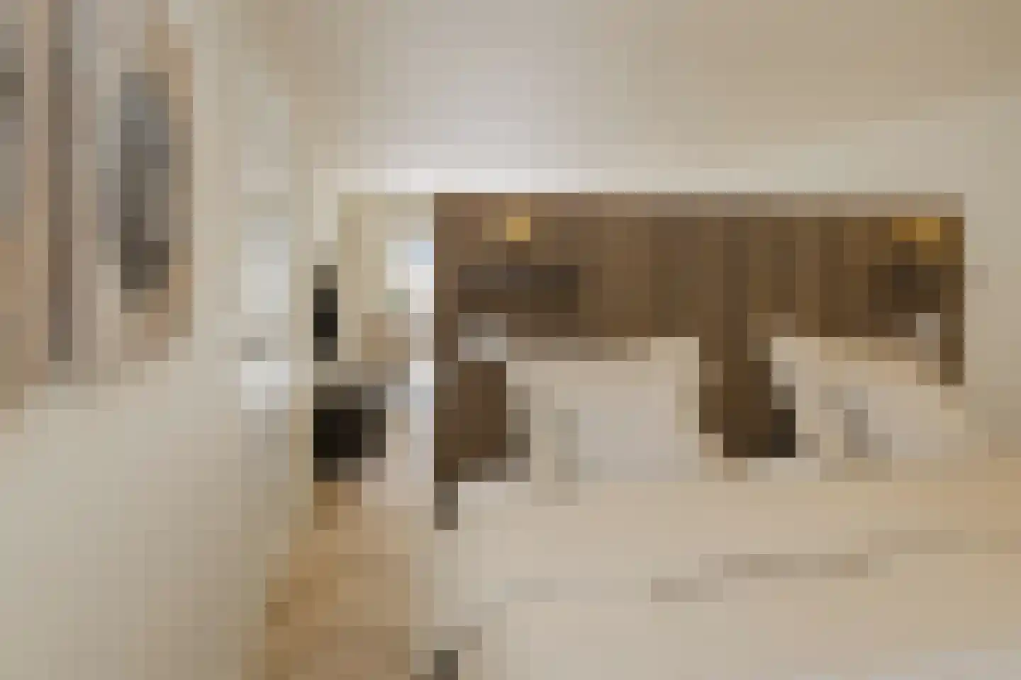 van Galenstraat 21 Noordwijk thumbnail 47