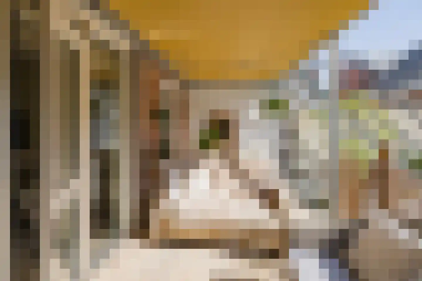 van Galenstraat 21 Noordwijk thumbnail 55