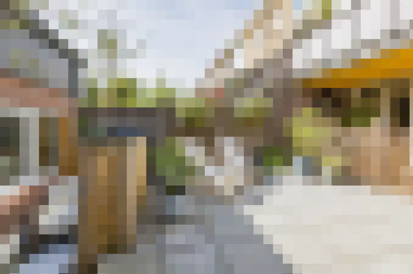 van Galenstraat 21 Noordwijk thumbnail 62