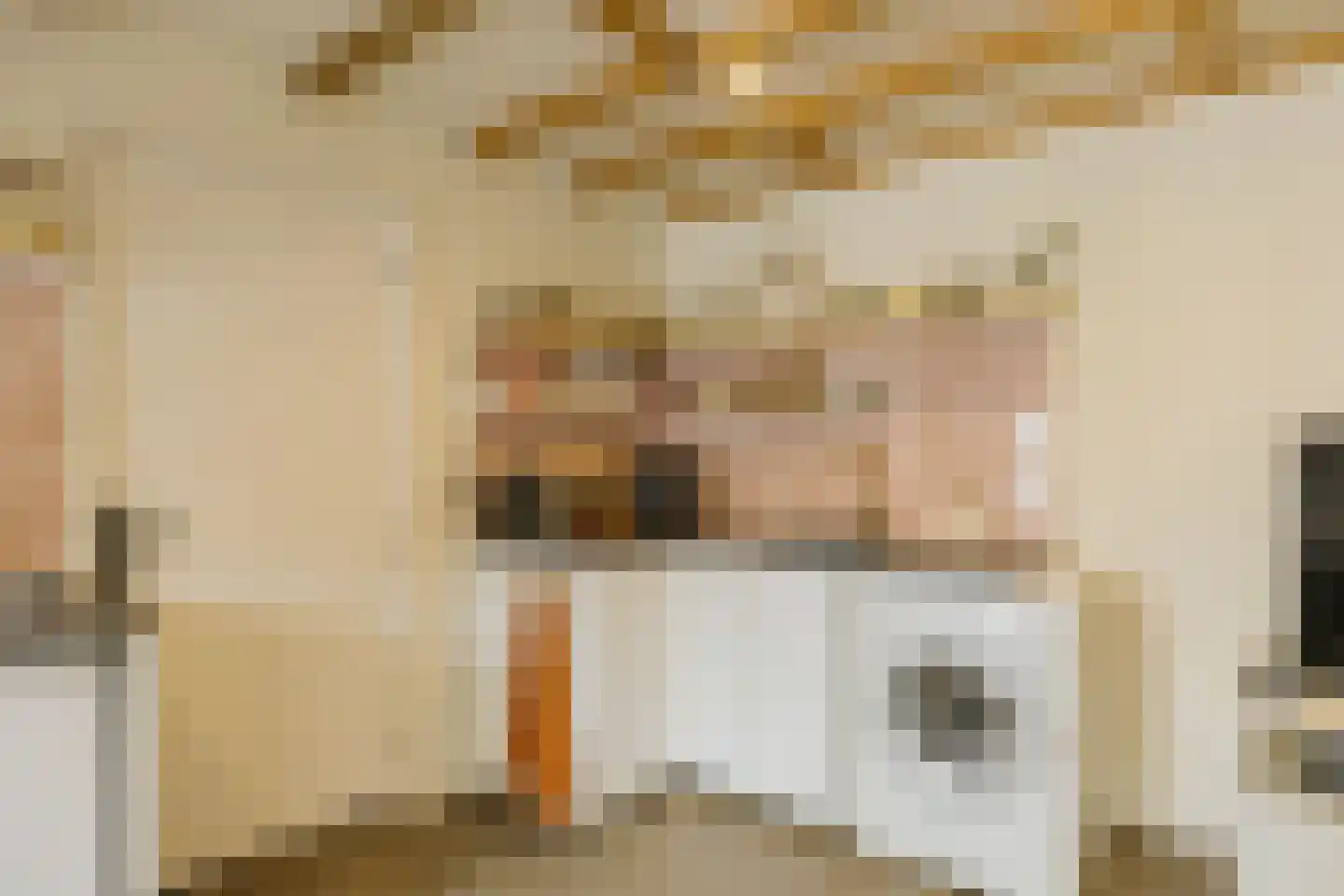 van Galenstraat 21 Noordwijk thumbnail 67
