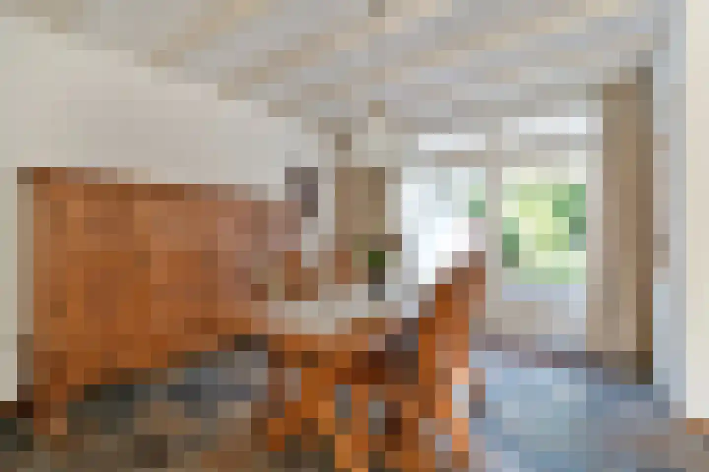 van Galenstraat 23 Bergeijk thumbnail 15