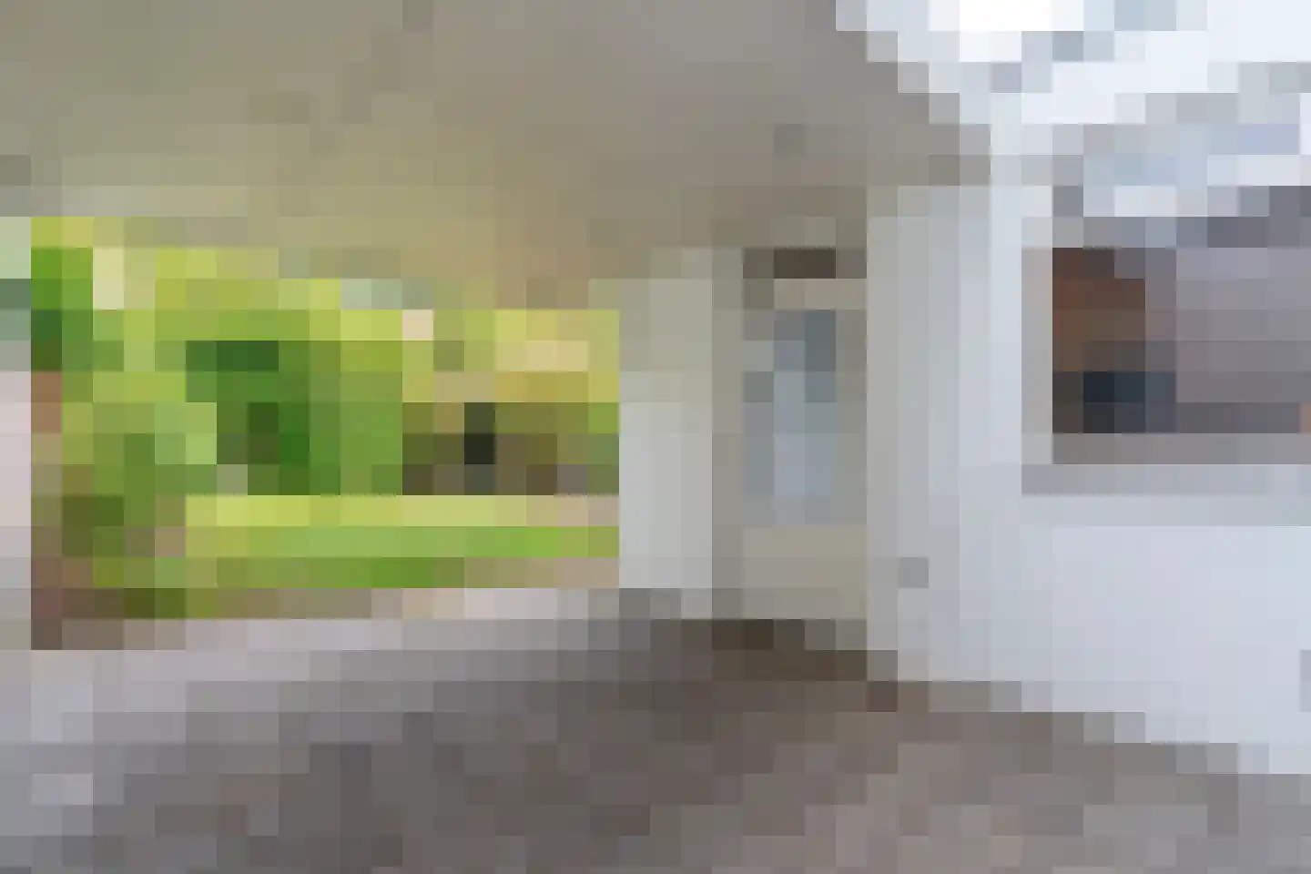 van Galenstraat 23 Bergeijk thumbnail 33