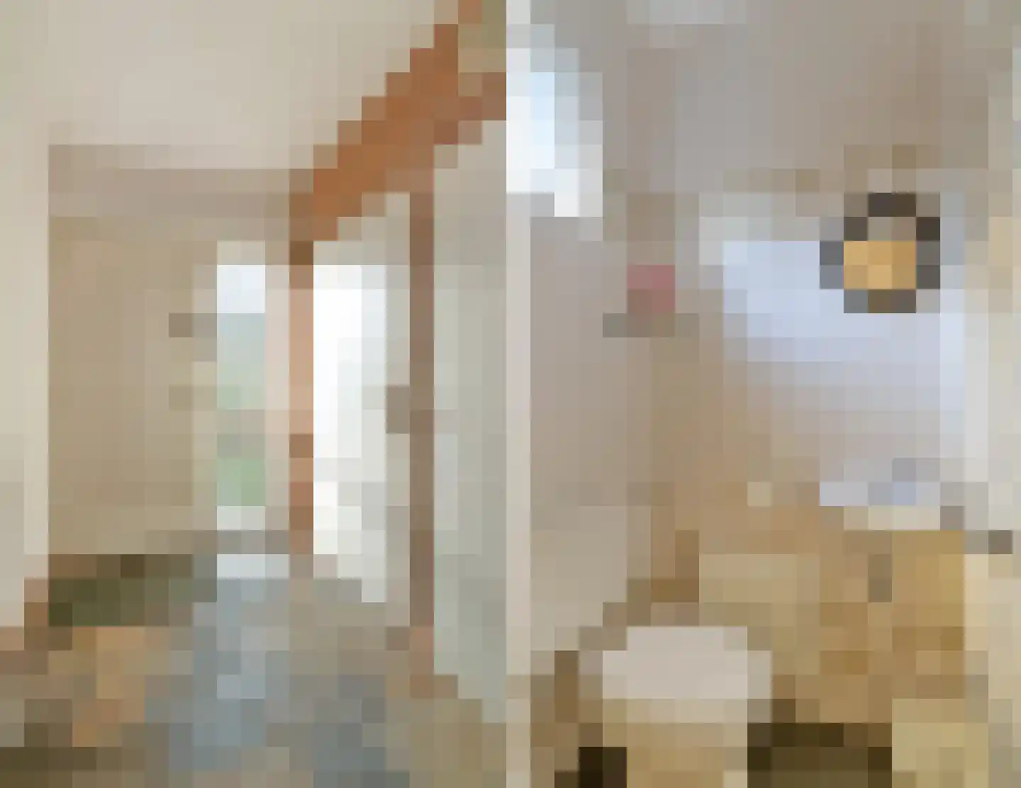 van Galenstraat 23 Bergeijk thumbnail 7